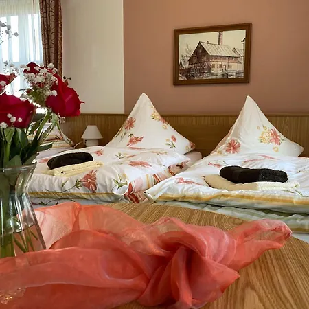 Hotel-pension Flechsig Hartmannsdorf bei Kirchberg